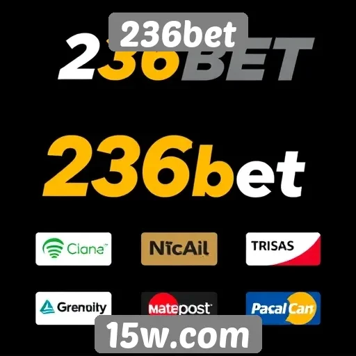 Plataformas de pagamento aceitas na 236bet